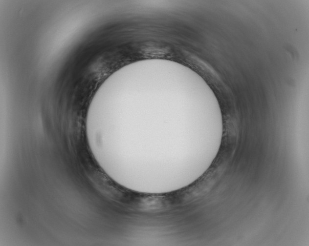 X0000113580761200910161540