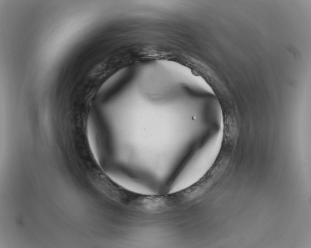 X0000113580762200910161540