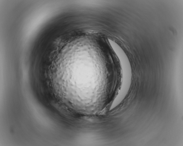 X0000113580763200910161540