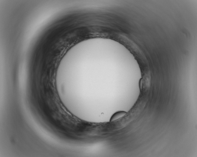 X0000113580764200910161540