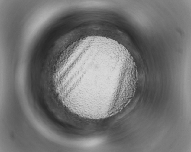 X0000113580765200910161540