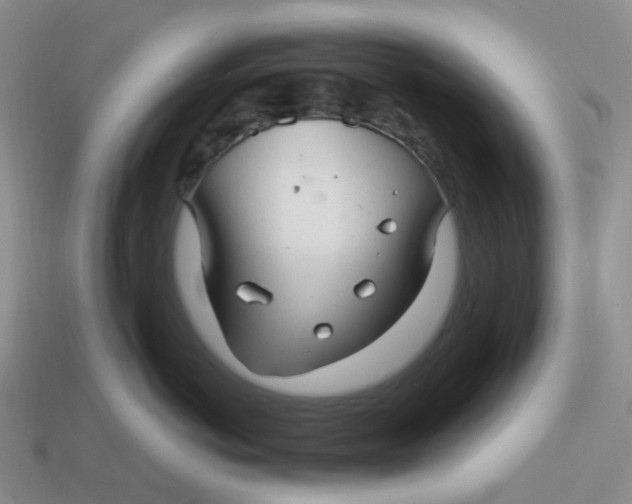 X0000113580766200910161540