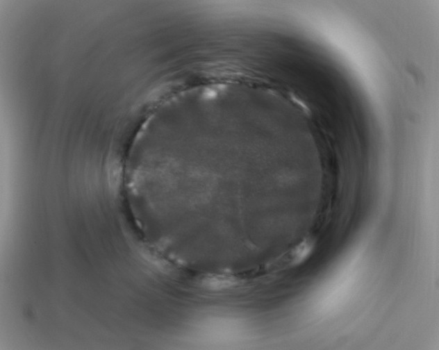 X0000113580767200910161540