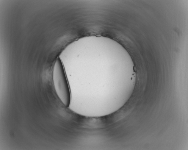 X0000113580768200910161540