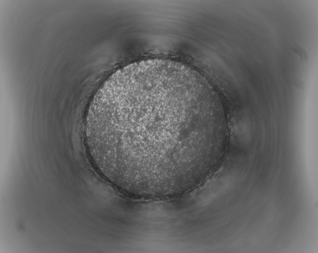 X0000113580769200910161539