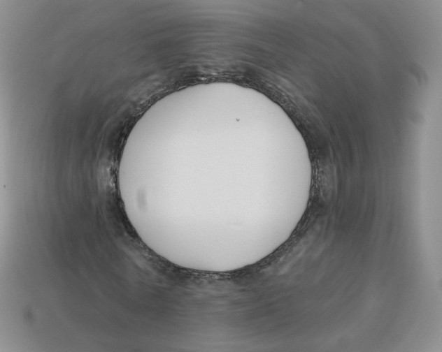 X0000113580770200910161539