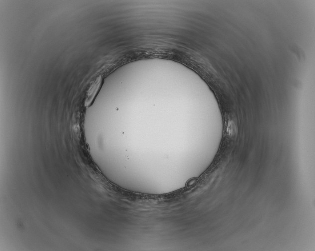 X0000113580771200910161539