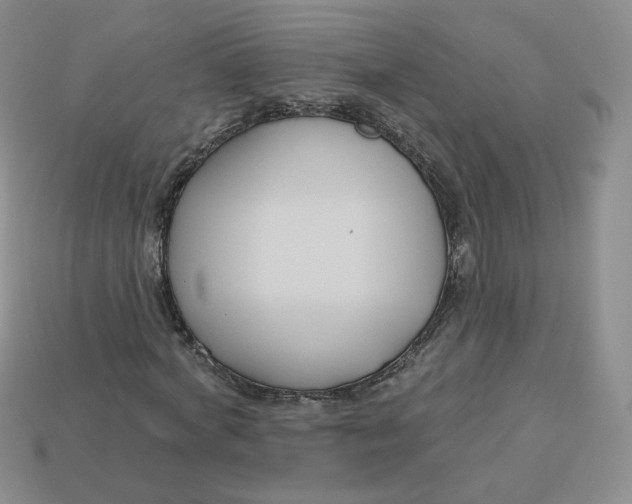 X0000113580772200910161539