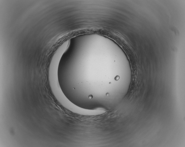 X0000113580773200910161539