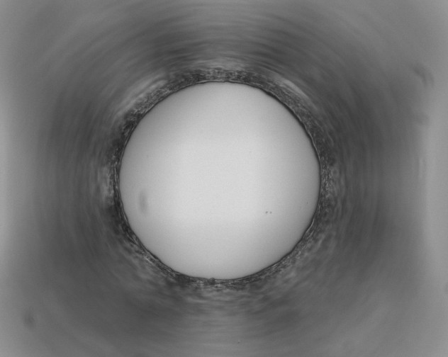 X0000113580774200910161539