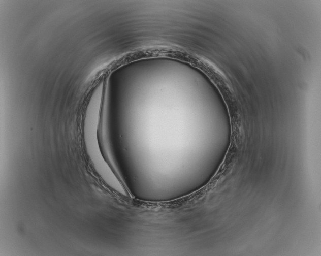 X0000113580775200910161539