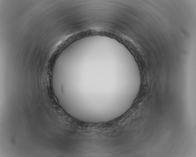 X0000113580776200910161539