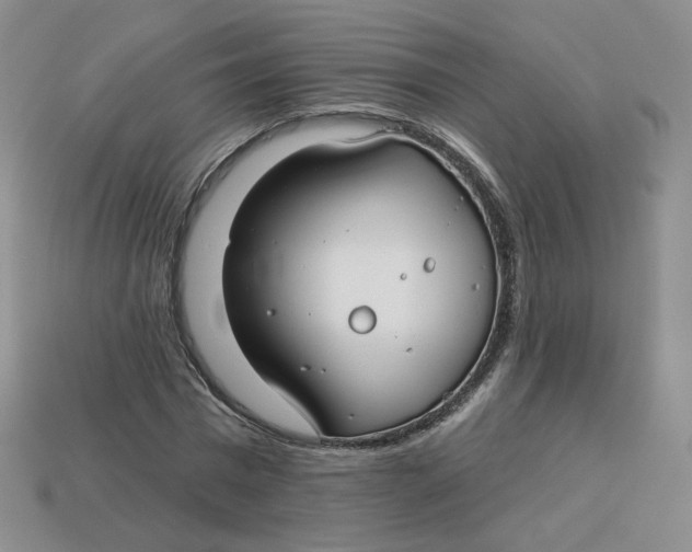 X0000113580777200910161539