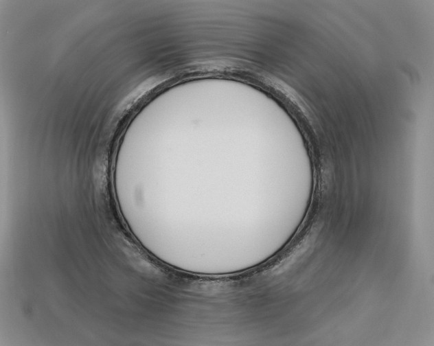 X0000113580778200910161539