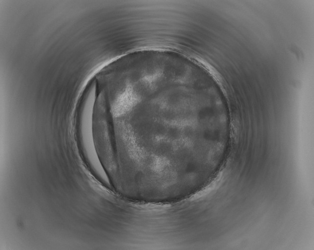 X0000113580779200910161539