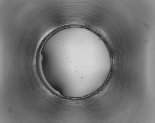 X0000113580780200910161539