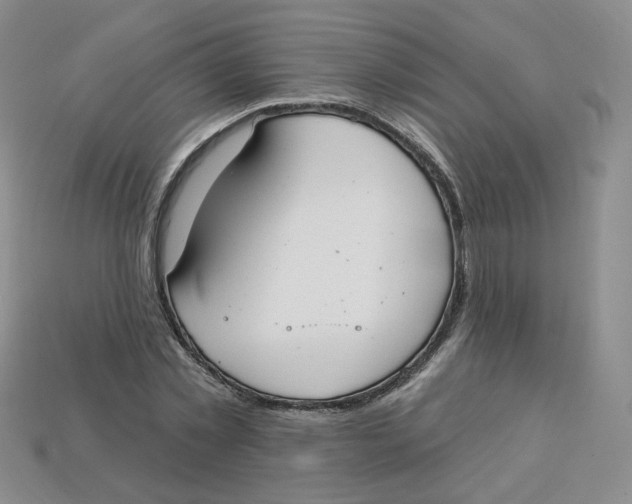 X0000113580781200910161539