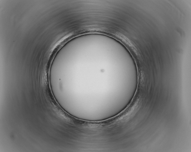 X0000113580782200910161539