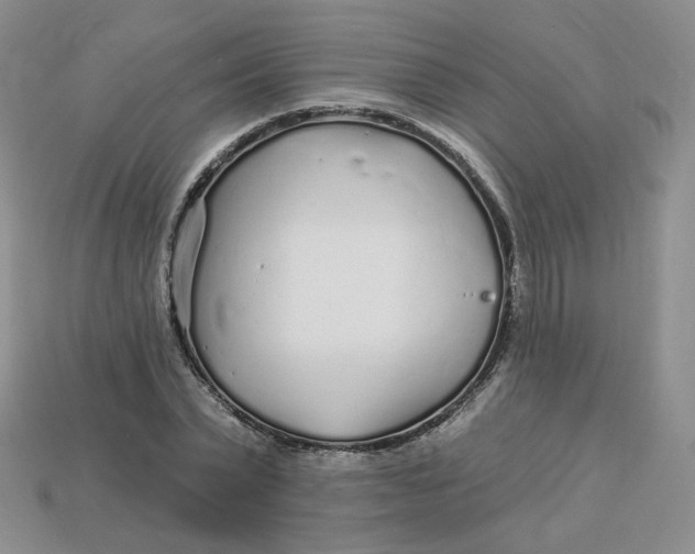 X0000113580783200910161539