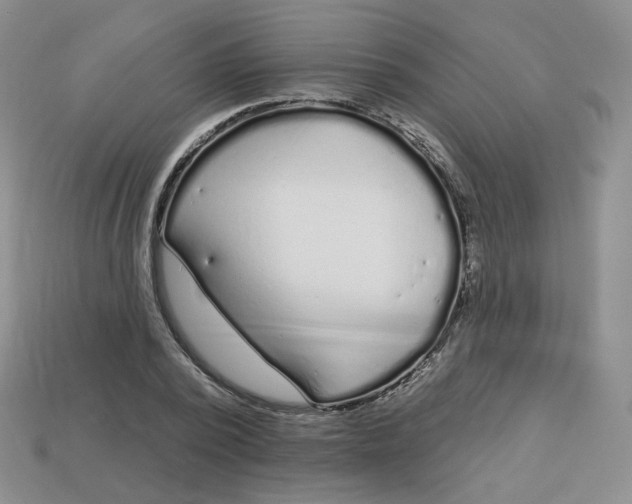 X0000113580784200910161539