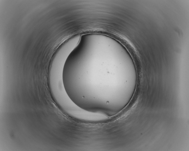 X0000113580785200910161539