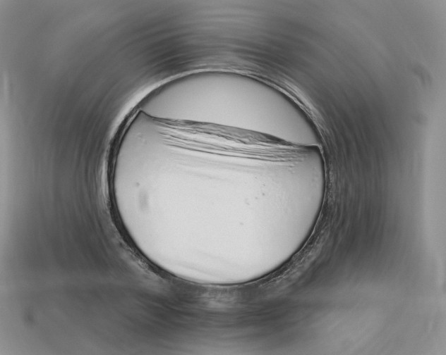 X0000113580788200910161539