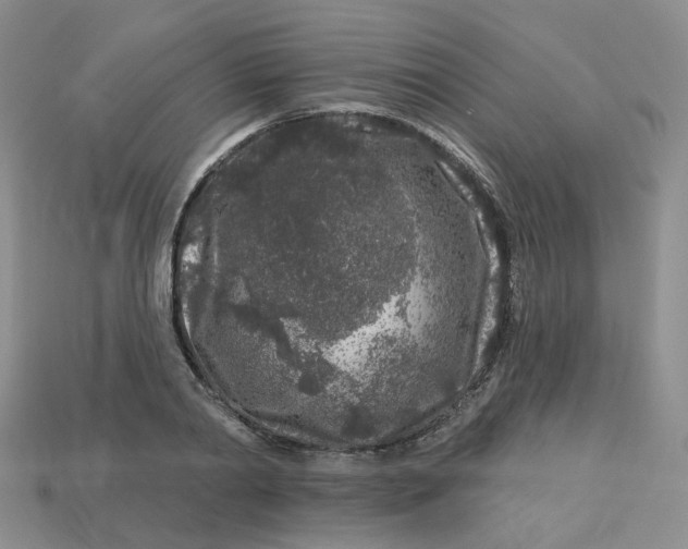 X0000113580790200910161539