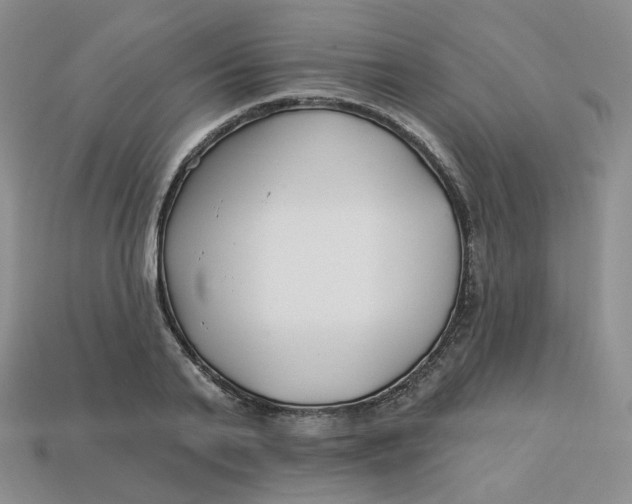 X0000113580791200910161539