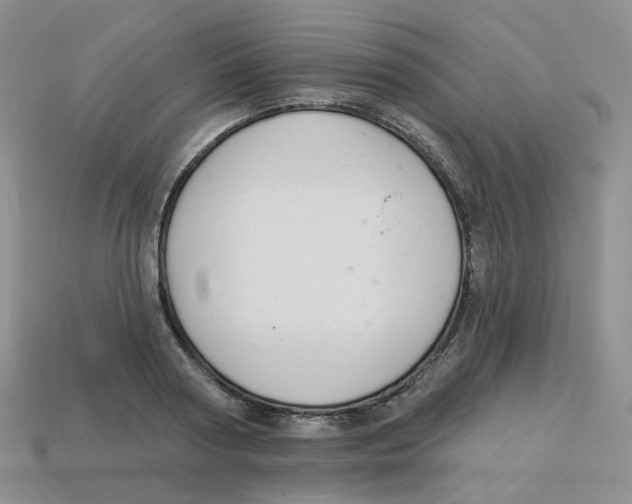 X0000113580794200910161539