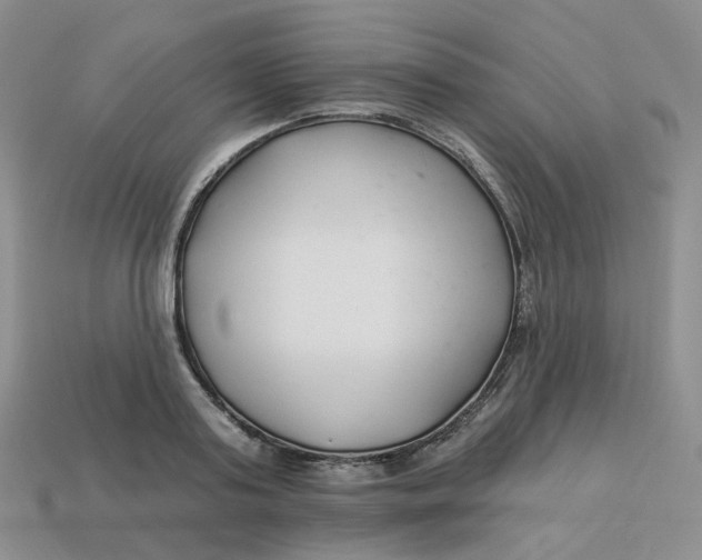 X0000113580795200910161539