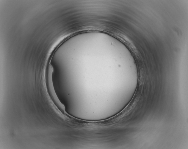 X0000113580796200910161539