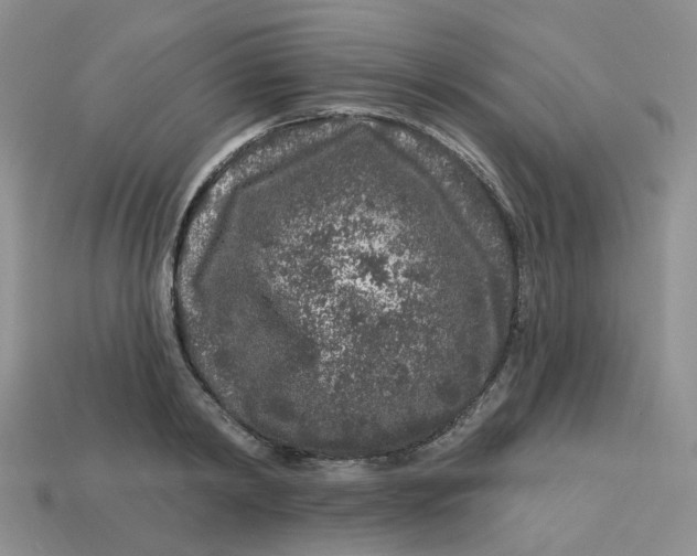 X0000113580798200910161539