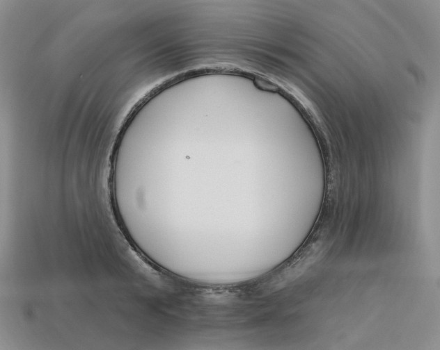 X0000113580799200910161539