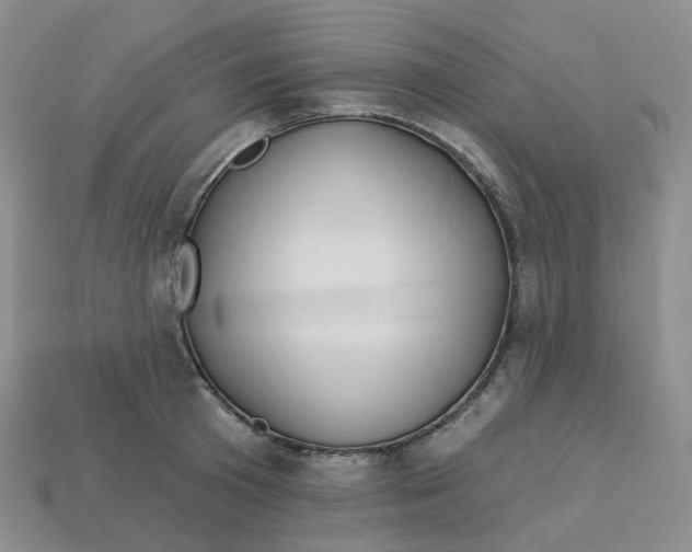 X0000113580801200910161539