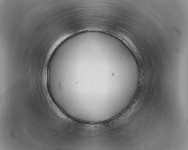 X0000113580804200910161539