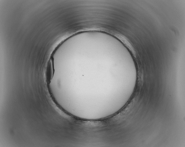 X0000113580805200910161539