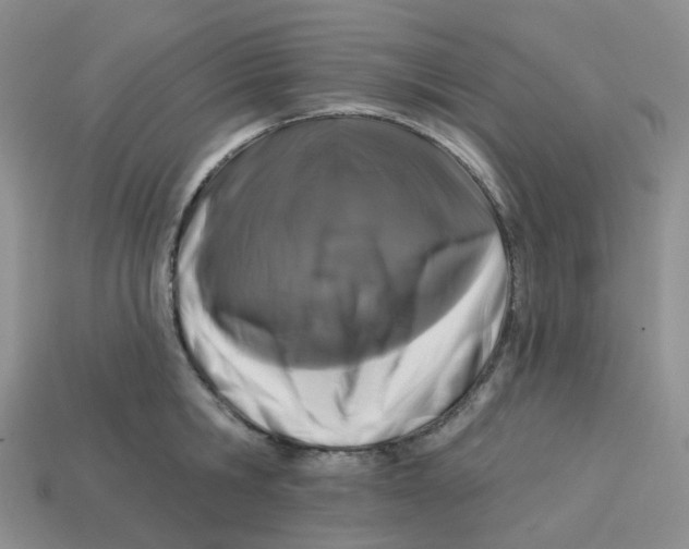 X0000113580806200910161539