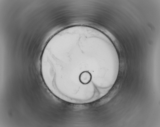 X0000113580807200910161539