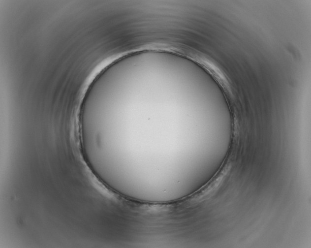 X0000113580808200910161539