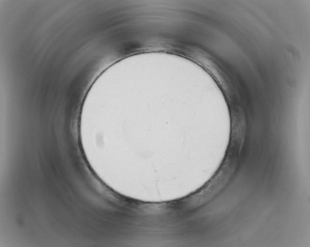 X0000113580810200910161538