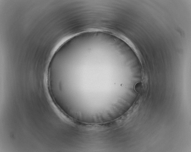 X0000113580811200910161538