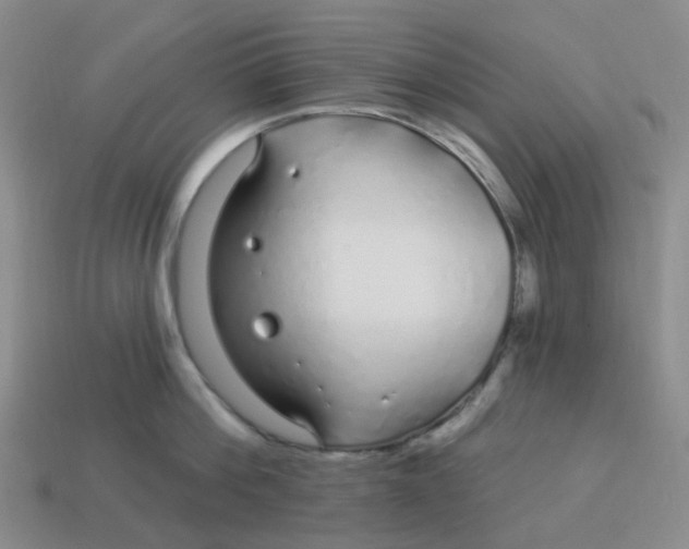 X0000113580812200910161538