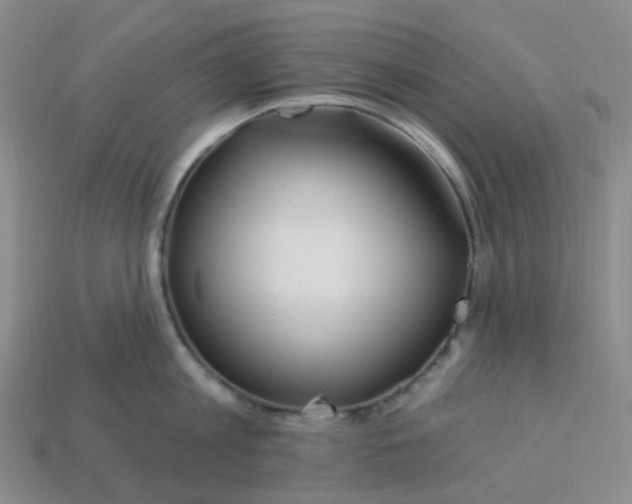 X0000113580813200910161538