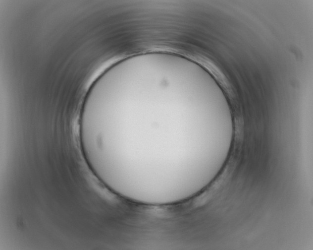 X0000113580814200910161538