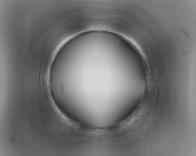 X0000113580815200910161538