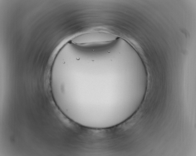 X0000113580816200910161538