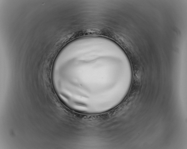 X0000113580817200910161538