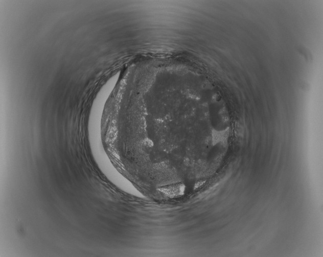 X0000113580818200910161538