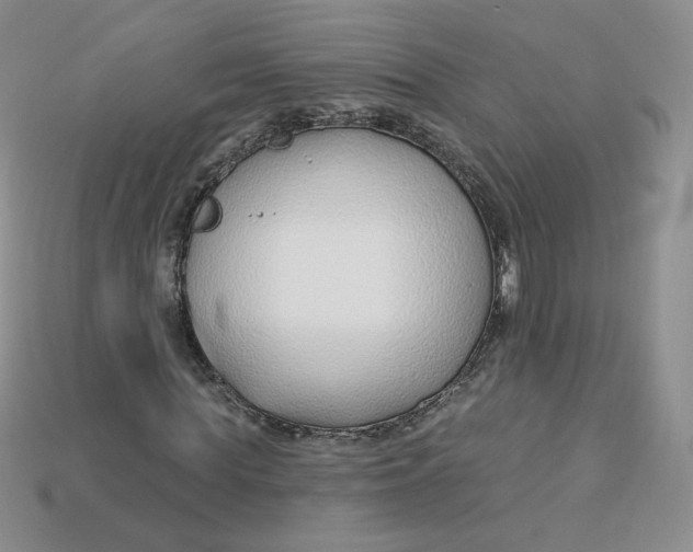 X0000113580819200910161538