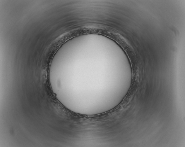 X0000113580821200910161538